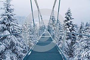 Pedestrian suspension bridge in Sattel Lucerne region Switzerland. photo