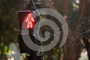 Pedestrian traffic light on the corners of Higienopolis and Angelica avenues