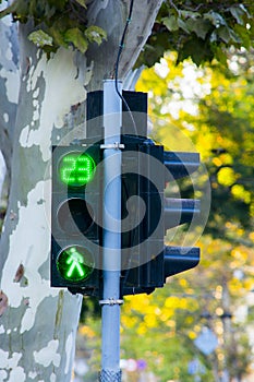 Pedestrian traffic light green