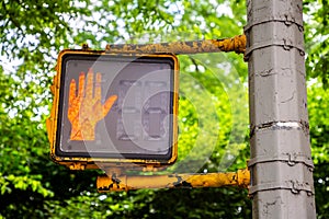 Pedestrian traffic light in New York City,