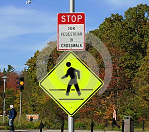 Pedestrian Walking Sign photo