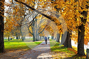 Pedestrian walkway