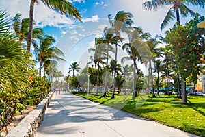 Pedestrian walkway in Lummus Park in Miami Beach