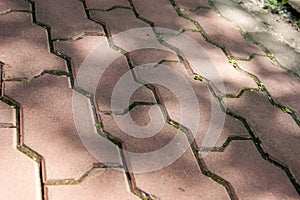 The pedestrian walkway is paved with red brick paving slabs, on it is a pattern of shadows from trees. texture, roughness