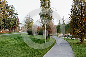 Pedestrian walkway runs through the trees in the Park of the Galician