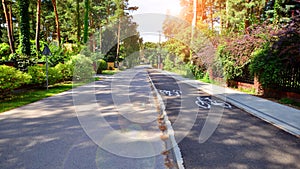 Pedestrian walkway and street lined up with beautiful tall trees