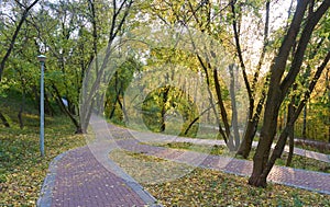 Pedestrian walkways in the park