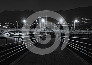 Pedestrian wooden bridge along the sea coast monochrome night background