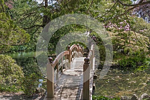 A Pedestrian Wooden bridge in the Japanese Garden located at Hat