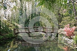 A Pedestrian Wooden bridge in the Japanese Garden located at Hat