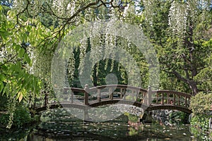 A Pedestrian Wooden bridge in the Japanese Garden located at Hat