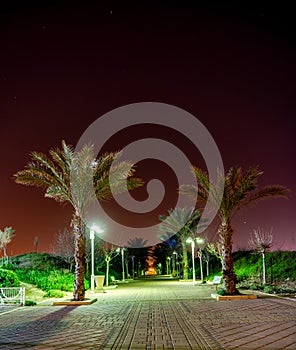 Pedestrian zone with palm trees at night in city of Nahariya, Israel.