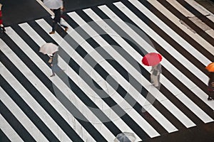 Pedestrians crossing with umbrellas, Sukiyabashi, Pedestrian, Crossing, Ginza, Tokyo