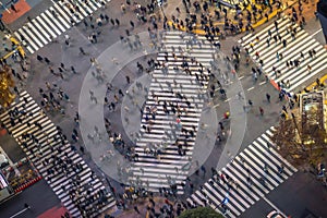 Pedestrians crosswalk at Shibuya district in Tokyo, Japan