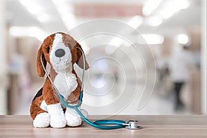 Pediatric doctor for children medical healthcare and child nursing care with dog toy, stethoscope and blank blackboard copy space