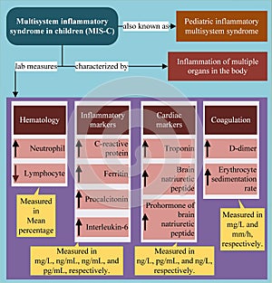 Pediatric multisystem inflammatory syndrome - LAB Measures photo