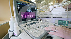 Pediatrician uses sonographic machine to check baby in incubator.