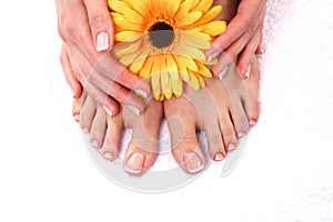 Pedicure on legs and beautiful manicure on hands