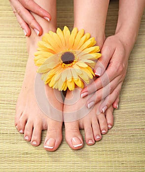 Pedicure on legs and beautiful manicure on hands closeup