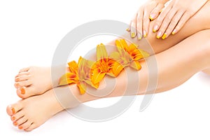 Pedicure and manicure with a orange lily flower