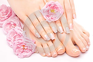 Pedicure and manicure with a pink rose flower