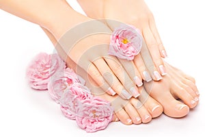 Pedicure and manicure with a pink rose flower