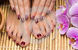 Pedicure and manicure in the salon spa