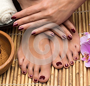 Pedicure and manicure in the salon spa