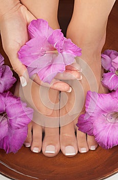 Pedicure and Manicure Spa