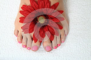 Pedicure nails, feet and flowers