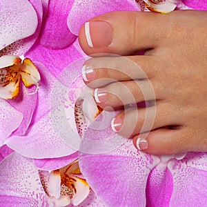 Pedicure with pink orchid flower. Beautiful female foot