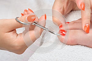 Pedicure process macro closeup