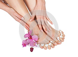 Pedicure Treatment For Woman's Feet