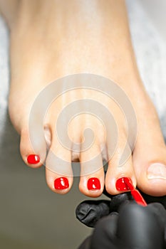 Pedicurist applying red nail polish to the female toenails in a beauty salon.