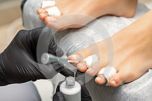 Pedicurist applying transparent varnish to the female toenails in a beauty salon.