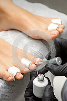 Pedicurist applying transparent varnish to the female toenails in a beauty salon.