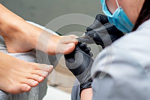 Pedicurist doing pedicure for female nails