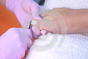 Pedicurist woman cutting toe nails using nippers in beauty salon, closeup view.