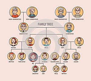Pedigree or ancestry chart template with portraits of men and women in round frames. Visualization of links between photo