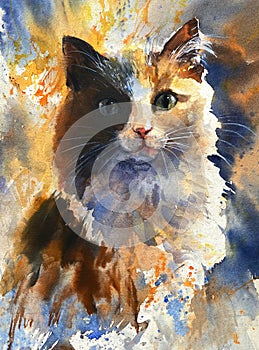 A pedigreed furry pet, red cat with white spots on a gentle background. Soft watercolor on textured paper