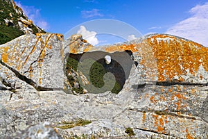 Pedra da Campa stone hole in Islas Cies islands photo
