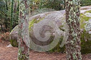 Pedra das Cabras en Ribeira photo