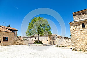 Pedraza, Castilla Y Leon, Spain: a lonely tree in Plaza del Ganado. photo