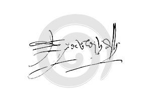 Pedro de Valdivia signature, Spanish conquistador