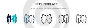Pedunculate icon in filled, thin line, outline and stroke style. Vector illustration of two colored and black pedunculate vector