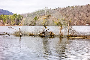 Pee dee and yadkin river flowing through uwharrie mountains