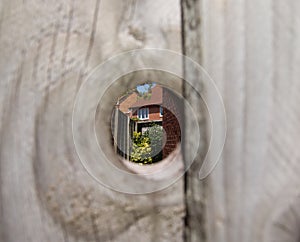 Peek into the back garden