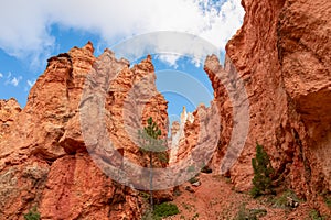 Peek a boo hiking trail with close up scenic view of massive steep hoodoo sandstone rock formation towers in Utah, USA