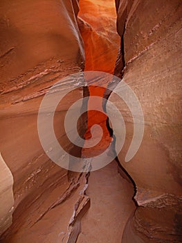 Peek A Boo slot canyon, at Dry Fork, a branch of Coyote Gulch, Grand Staircase Escalante National Monument, Utah, USA