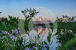 A peek at the Tetons